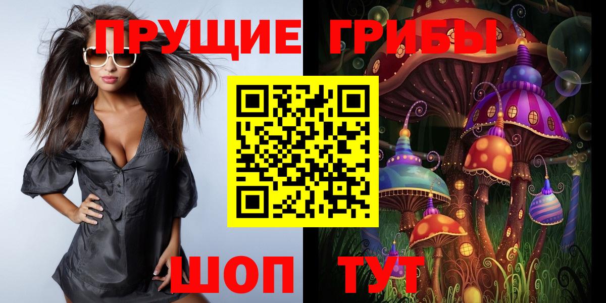 Псилоцибиновые грибы Psilocybe  Псилоцибиновые грибы Psilocybe  Вход с VPN  Ханты-Мансийск 