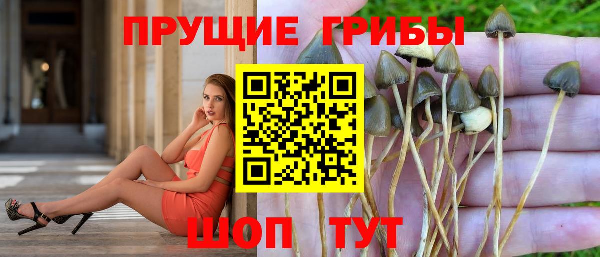 Псилоцибиновые грибы MAGIC MUSHROOMS Ханты-Мансийск